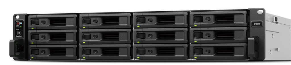 Synology SA3410 (Sin Discos)