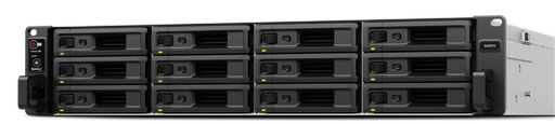 Synology SA3410